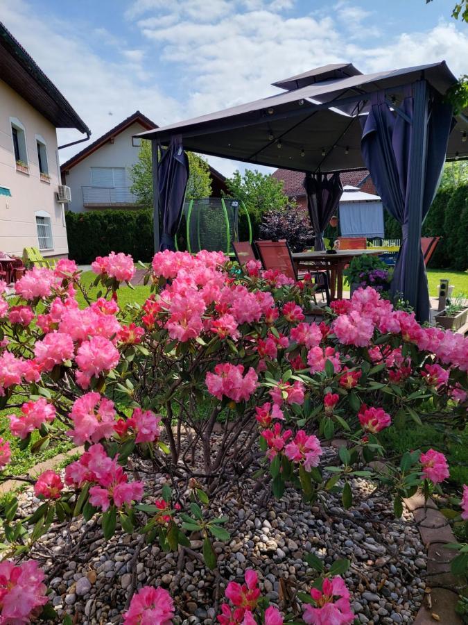Studio Apartma Zirovnik Cerklje na Gorenjskem Bagian luar foto