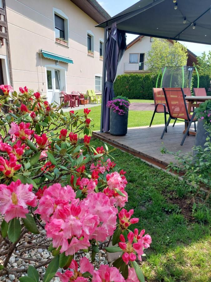 Studio Apartma Zirovnik Cerklje na Gorenjskem Bagian luar foto