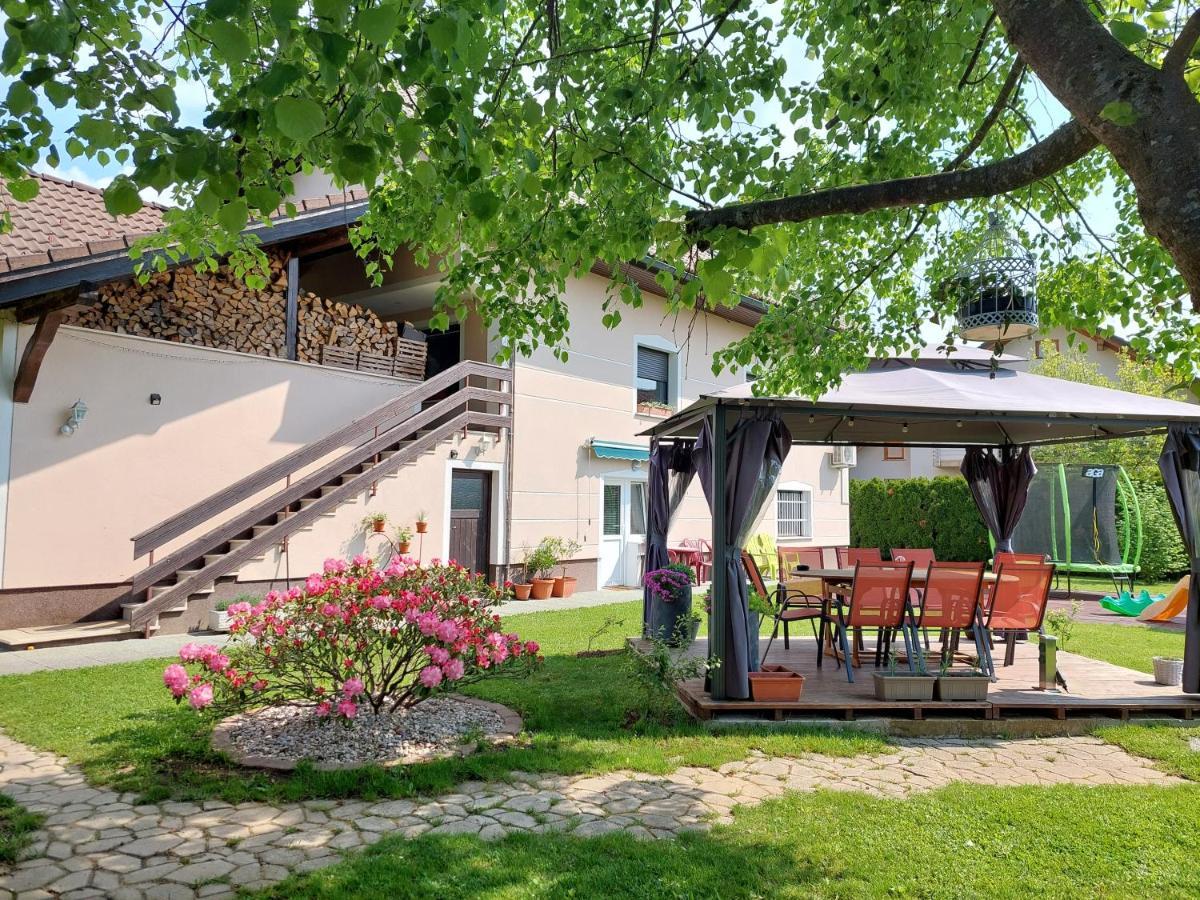 Studio Apartma Zirovnik Cerklje na Gorenjskem Bagian luar foto
