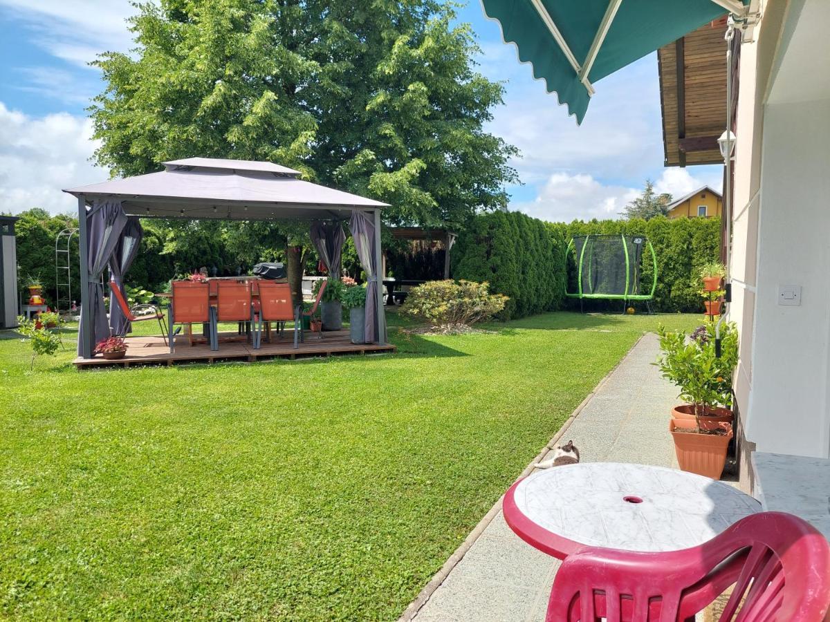 Studio Apartma Zirovnik Cerklje na Gorenjskem Bagian luar foto
