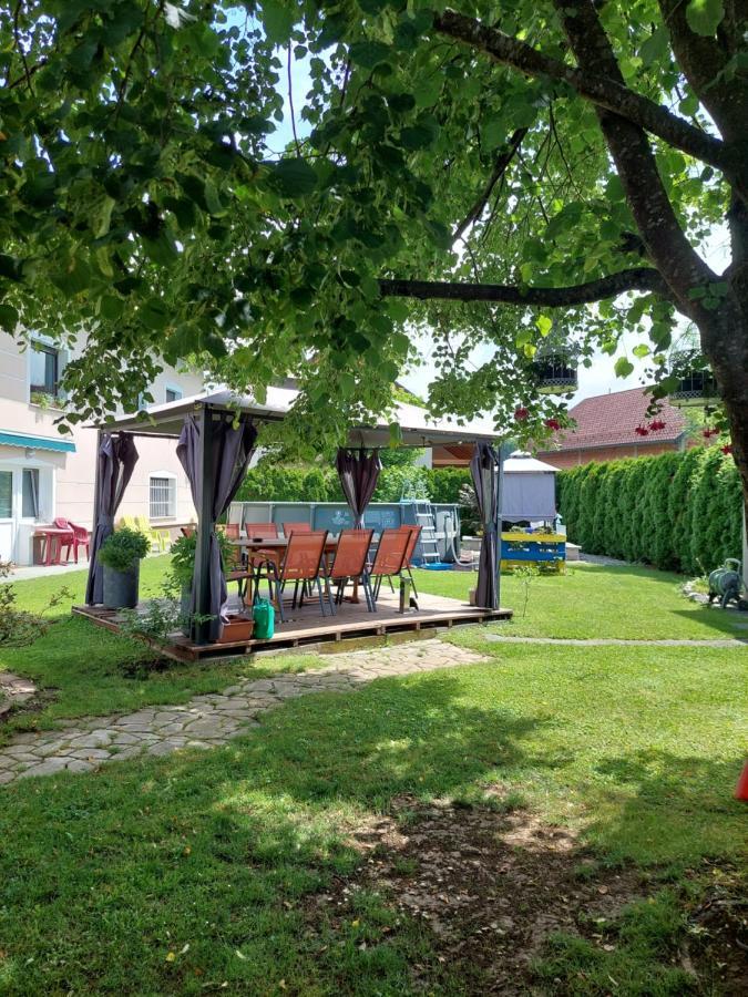 Studio Apartma Zirovnik Cerklje na Gorenjskem Bagian luar foto
