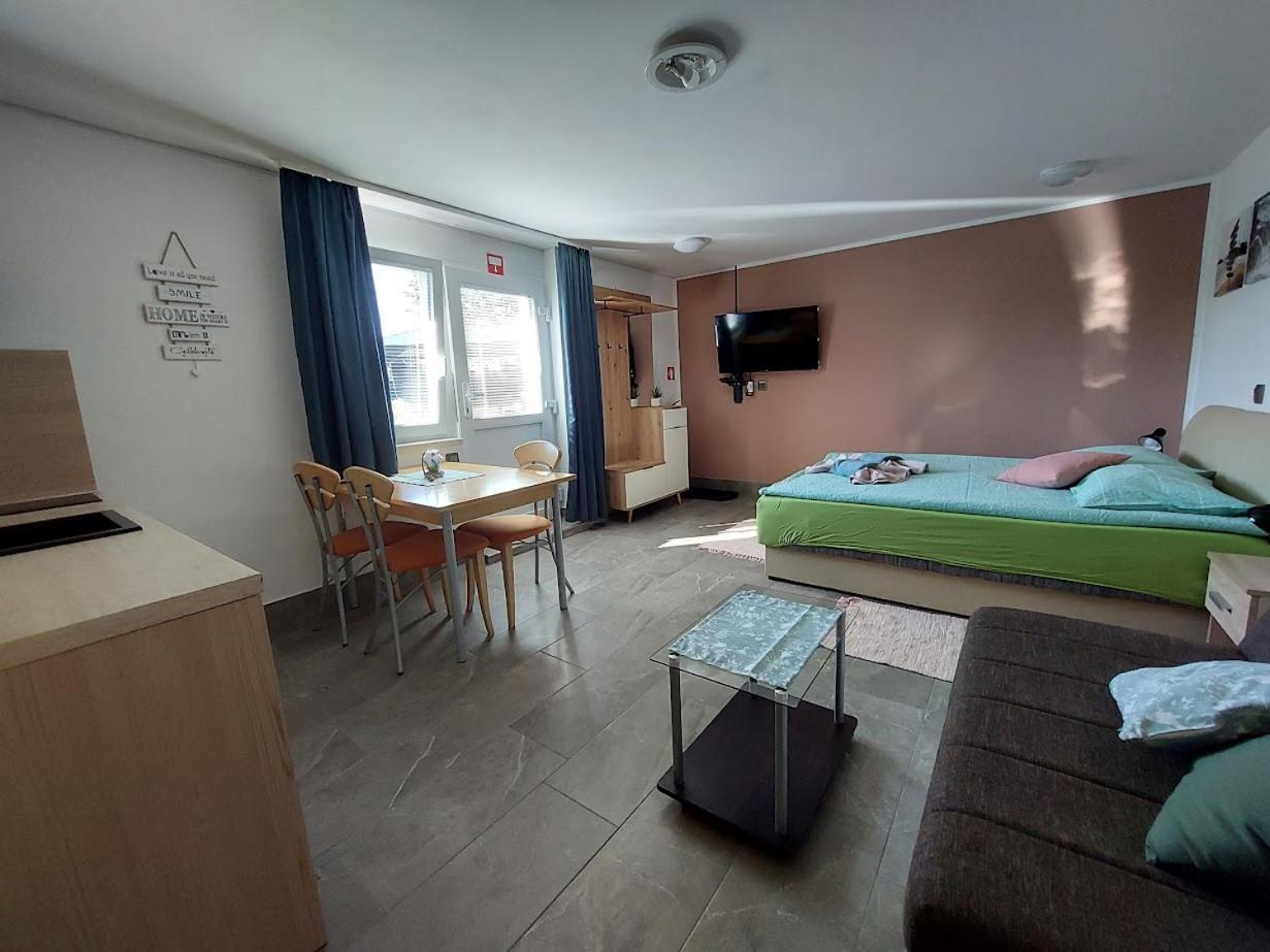 Studio Apartma Zirovnik Cerklje na Gorenjskem Bagian luar foto
